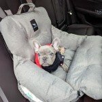 Cozy Travel Bed & Car Seat for Small Dogs