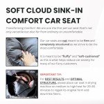 Cozy Travel Bed & Car Seat for Small Dogs