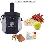 Dog Treat Bag for Puppy Training and Hiking