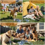 Heavy-Duty Dog Tie Out Cable and Stake 30FT