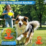 Heavy Duty Dog Tie Out Stake, 15 Inch