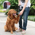 Dog Treat Bag for Puppy Training and Hiking