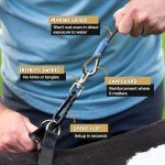 Heavy Duty Dog Tie Out Cable & Stake 10ft