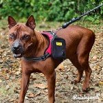 Raisingwell Dog Treat Pouch with Clicker & Bags