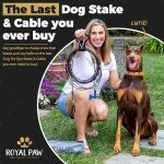 Heavy Duty Dog Tie Out Cable & Stake 10ft