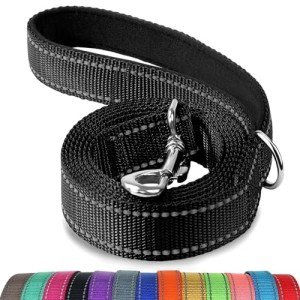 Joytale Double-Sided Reflective Dog Leash 6FT