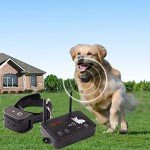 JustPet Wireless Dog Fence System for Puppies