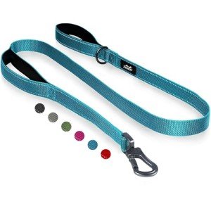 Strong Blue Dog Leash with Padded Handles