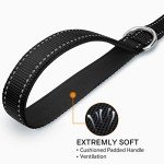 Joytale Double-Sided Reflective Dog Leash 6FT