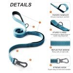 Strong Blue Dog Leash with Padded Handles