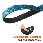 Strong Blue Dog Leash with Padded Handles