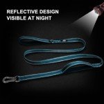 Strong Blue Dog Leash with Padded Handles