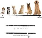 JustPet Wireless Dog Fence System for Puppies