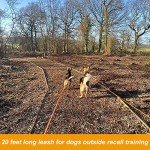 20FT Floating Dog Training Leash with Comfortable Handle