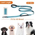 Strong Blue Dog Leash with Padded Handles