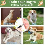 Adjustable Ultrasonic Dog Whistle 2-Pack