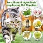 Natural Peppermint Oil Cat and Dog Repellent