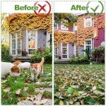 Natural Peppermint Oil Cat and Dog Repellent