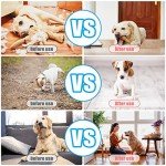 2 Pack Pet Training Clicker Set (Red & Yellow)