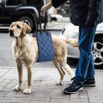 Adjustable Dog Lift Harness for Large Dogs
