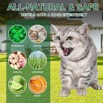Natural Cat Deterrent Balls with Peppermint Oil