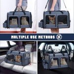 Foldable Double Pet Carrier for Cats and Dogs