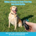 2-in-1 Dog Training Clicker & Whistle Set