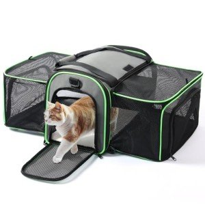 Expandable Soft-Sided Cat and Small Dog Carrier