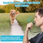 2-in-1 Dog Training Clicker & Whistle Set