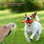 Pet Training Clicker Set with Treat Pouch