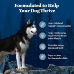 Blue Buffalo Wilderness High-Protein Chicken Dog Food