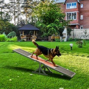 Onelike Wooden Dog Agility Seesaw for Training