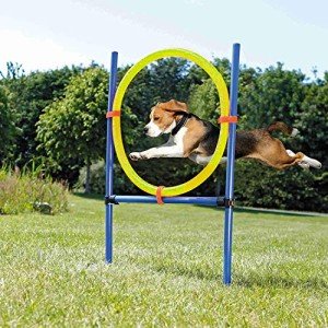 Petprime Dog Agility Hoop Jump Training Kit