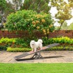 Onelike Wooden Dog Agility Seesaw for Training