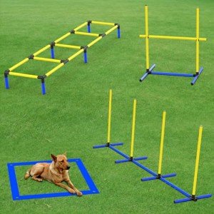 4-in-1 Dog Agility Training Equipment Set