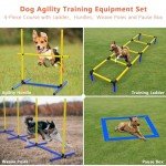 4-in-1 Dog Agility Training Equipment Set