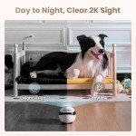 EBO Air 2: 2K Pet Camera Robot with Night Vision