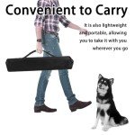 4-in-1 Dog Agility Training Equipment Set