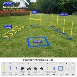 4-in-1 Dog Agility Training Equipment Set