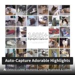 Smart Pet Camera with 4K Live View
