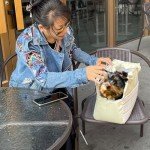 Beige Small Dog Carrier Bag for Fashionable Owners