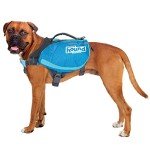 Outward Hound Blue Dog Backpack - Large