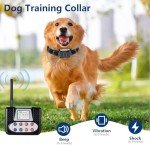 BCHARYA Wireless Fence & Training System for Dogs