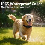 BCHARYA Wireless Fence & Training System for Dogs