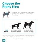 Outward Hound Blue Dog Backpack - Large