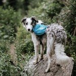 Outward Hound Blue Dog Backpack - Large