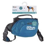 Outward Hound Blue Dog Backpack - Large