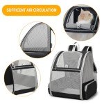 Cat and Small Dog Backpack Carrier for Travel