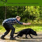 Adjustable Dog Whistle for Bark Control + Lanyard