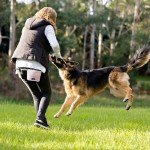 KATOZOO Waterproof Dog Treat Pouch with Clip